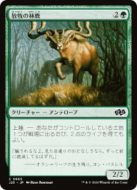 card303994-series204363-rarity323480