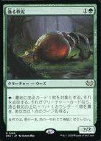 card_314458_series_205142_rarity_323476_