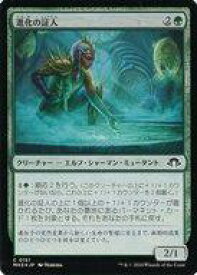 card_328049_series_206173_rarity_323480_