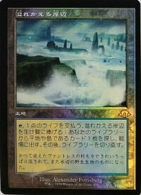 card300899-series206173-rarity323476