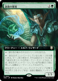 card328453-series206664-rarity323476
