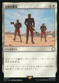 card300253-series207488-rarity323476