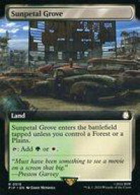card298261-series207488-rarity323476