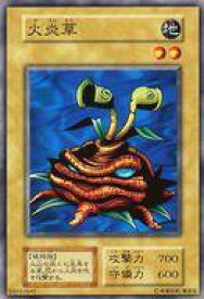 card13533-series37244-rarity1