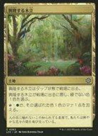 card_326863_series_208405_rarity_323480_