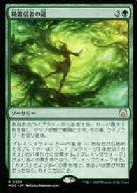 card331671-series209908-rarity323476