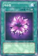 card13563-series37148-rarity62