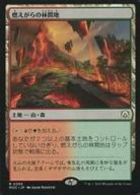 card300178-series209908-rarity323476