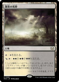 card304815-series209908-rarity323476