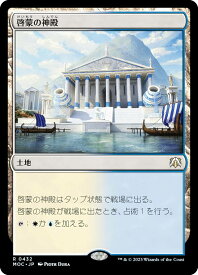 card296360-series209908-rarity323476