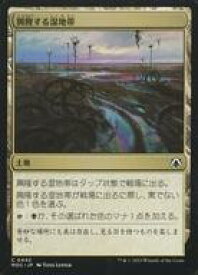 card326866-series209908-rarity323480