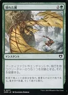 card287907-series179932-rarity323480