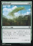 card_307544_series_179932_rarity_323480_