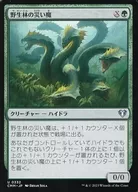 card314468-series179932-rarity323478