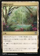 card_326863_series_179932_rarity_323480_