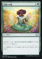 card312368-series180754-rarity323478