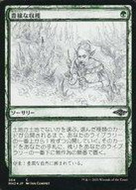 card334525-series181242-rarity323480