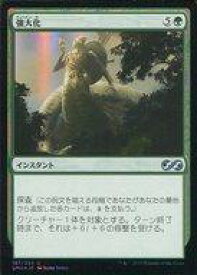 card300796-series217814-rarity323478