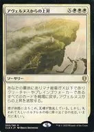 card344554-series180792-rarity323476