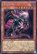 card2030-series2528-rarity5
