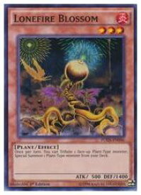 card501892-series373129-rarity540535