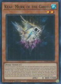 card504116-series375015-rarity540535