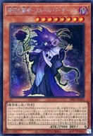 card2506-series5573-rarity5