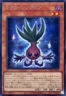 card2507-series5573-rarity5