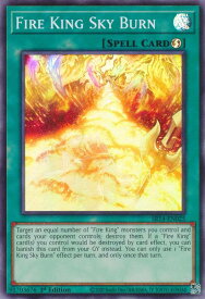 card504317-series375336-rarity540535