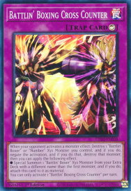 card512253-series382815-rarity540535