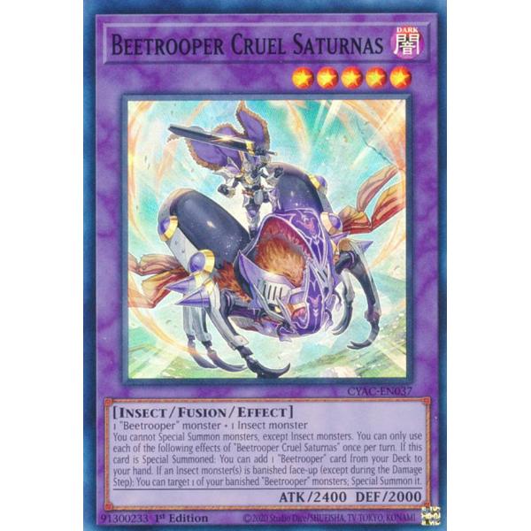 card512598-series377295-rarity540535