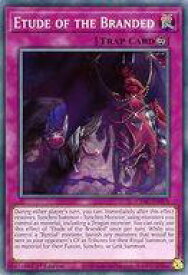 card_512614_series_377295_rarity_540534_