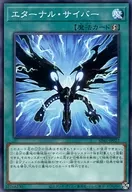 card2522-series5623-rarity2