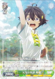 card_519191_series_390039_rarity_557285_