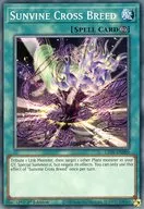 card_555954_series_377399_rarity_540534_