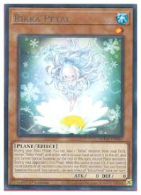 card586496-series378427-rarity540551