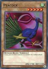 card605514-series373169-rarity540534