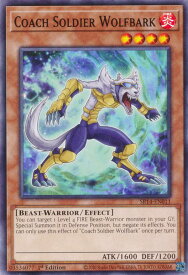 card605664-series375336-rarity540534