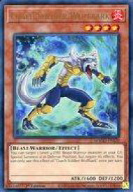 card605664-series373170-rarity540548