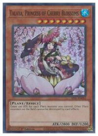 card605715-series373126-rarity540535