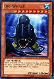 card605870-series486702-rarity540538