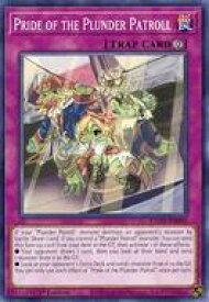 card607973-series377917-rarity540537