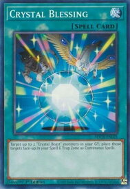 card609036-series378400-rarity540534