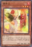 card4146-series2248-rarity2