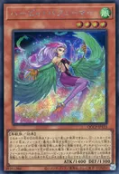 card4224-series2528-rarity5