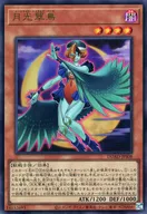 card4230-series4400-rarity7