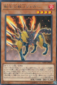 card4445-series10094-rarity62