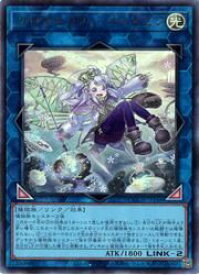 card4845-series2798-rarity77