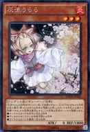 card_5417