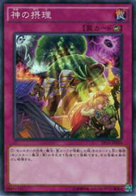 card5620-series12964-rarity1